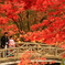 紅葉の中で