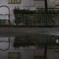 雨上がり