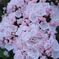 P5250177