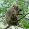 photo_72173