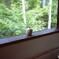 「崖っぷちカフェの窓辺・・」