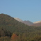 DSCN0577