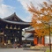 奈良公園 パート2