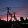夕日