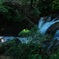 水は低きに流れ