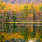 Like a mirror