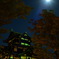 夜の高田城 1