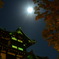 夜の高田城 2