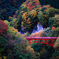 君と、紅葉を眺めながら ～松川渓谷～