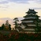 城