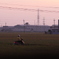 台湾農村にて