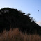 photo_722312