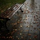 fall