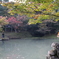 用作公園の紅葉②