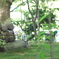 photo_7227006