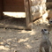 photo_7227011