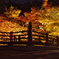 紅葉谷