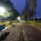 朝の公園、初冬