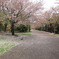 2010年4月