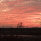 夕焼け2