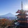 秋の忠霊塔（１）