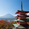 秋の忠霊塔（２）