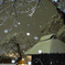 忍野八海 雪の夜