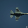F-2`s belly