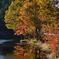 湖畔の紅葉