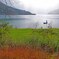 奥琵琶湖、釣り人