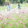 in the Flower Field