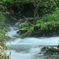 清流のミスト