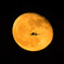 IN THE MOON！！