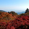 大山阿夫利神社から相模湾を望む