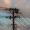 夕日の電柱