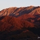 大山朝景