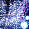 beautiful bokeh!
