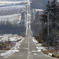 美瑛ジェットコースターの路2