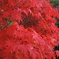 DSCN0662