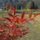 DSCN0671