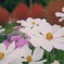 AFAAE4BA-D8FD-4176-8E04-1AFFEB3F762F