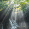 Rain and light