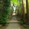 静かなる道