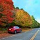 CX-5と紅葉