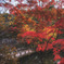 兵庫 - 神戸森林植物園