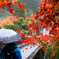 秋雨