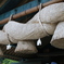 sacred rope