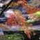 岩屋堂にて