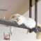 まったり