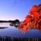 南湖公園の紅葉